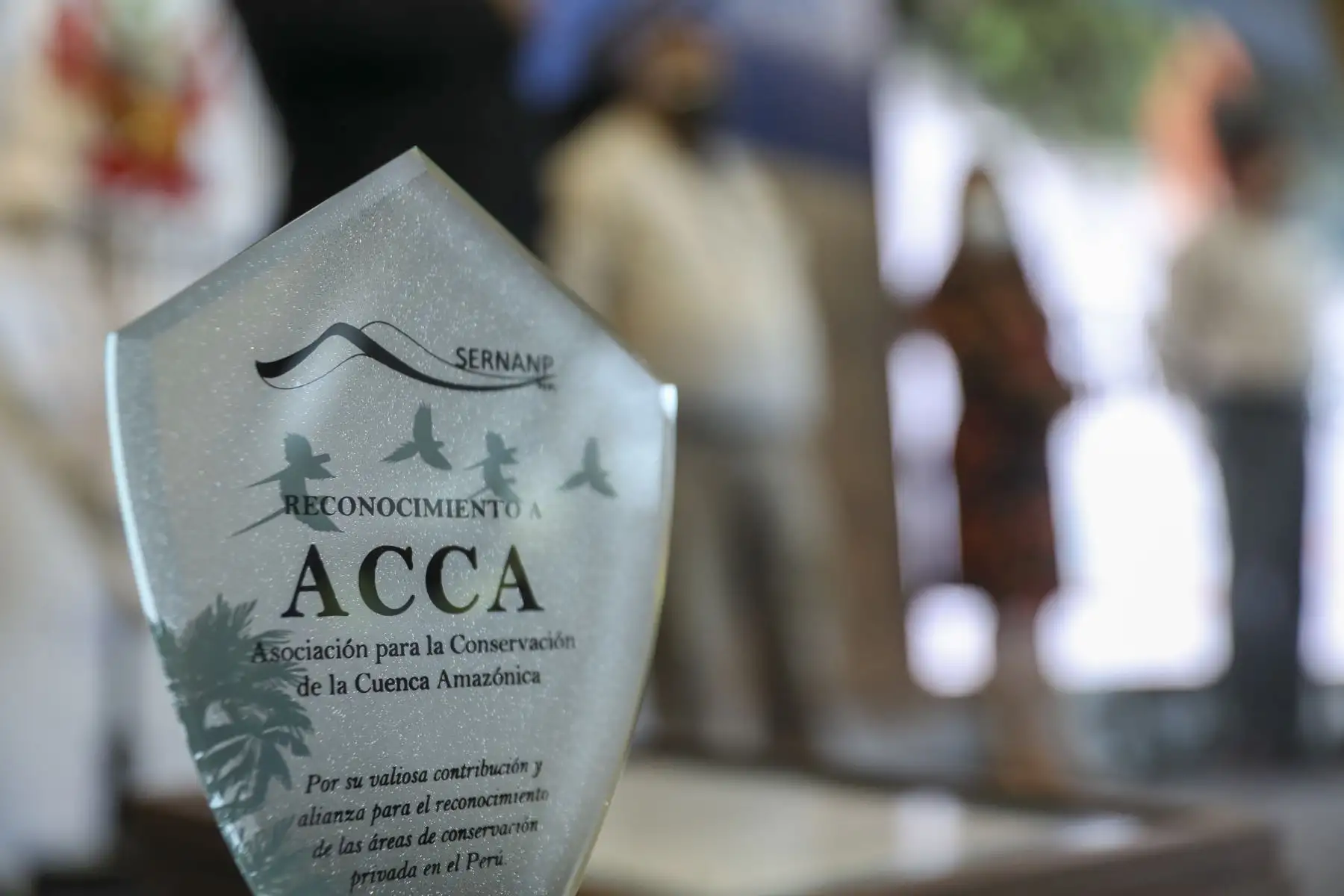 El Ministerio del Ambiente y el Servicio Nacional de Áreas Naturales Protegidas por el Estado, entregaron el reconocimiento a los representantes de las áreas de conservación privada reconocidas durante el año 2021 y 2022. Durante el evento se reconocieron 10 áreas de conservación privada quienes se han convertido en uno de los principales impulsores de la conservación en sus ámbitos. Foto: ANDINA/Carla Patiño