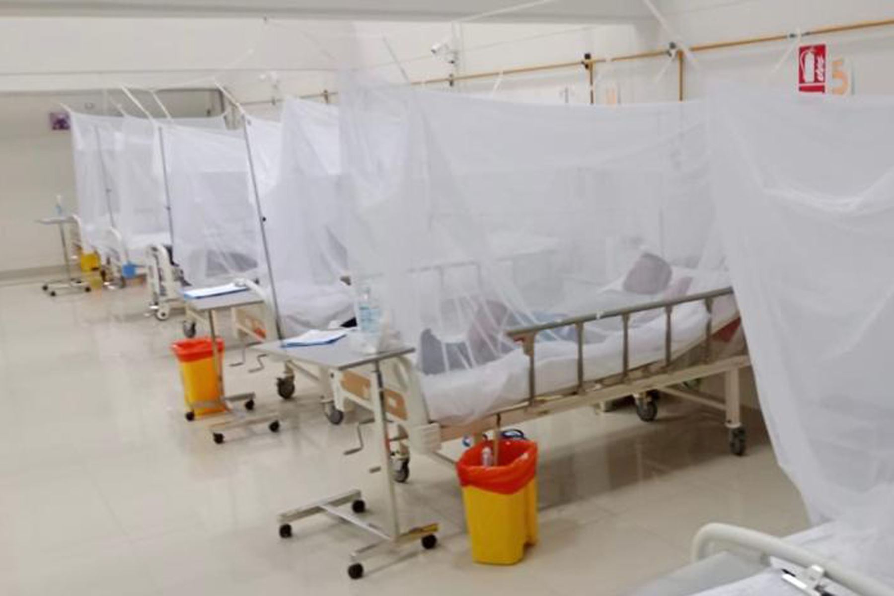 Unidad de vigilancia clínica de Sullana logra recuperación de 13 pacientes con dengue