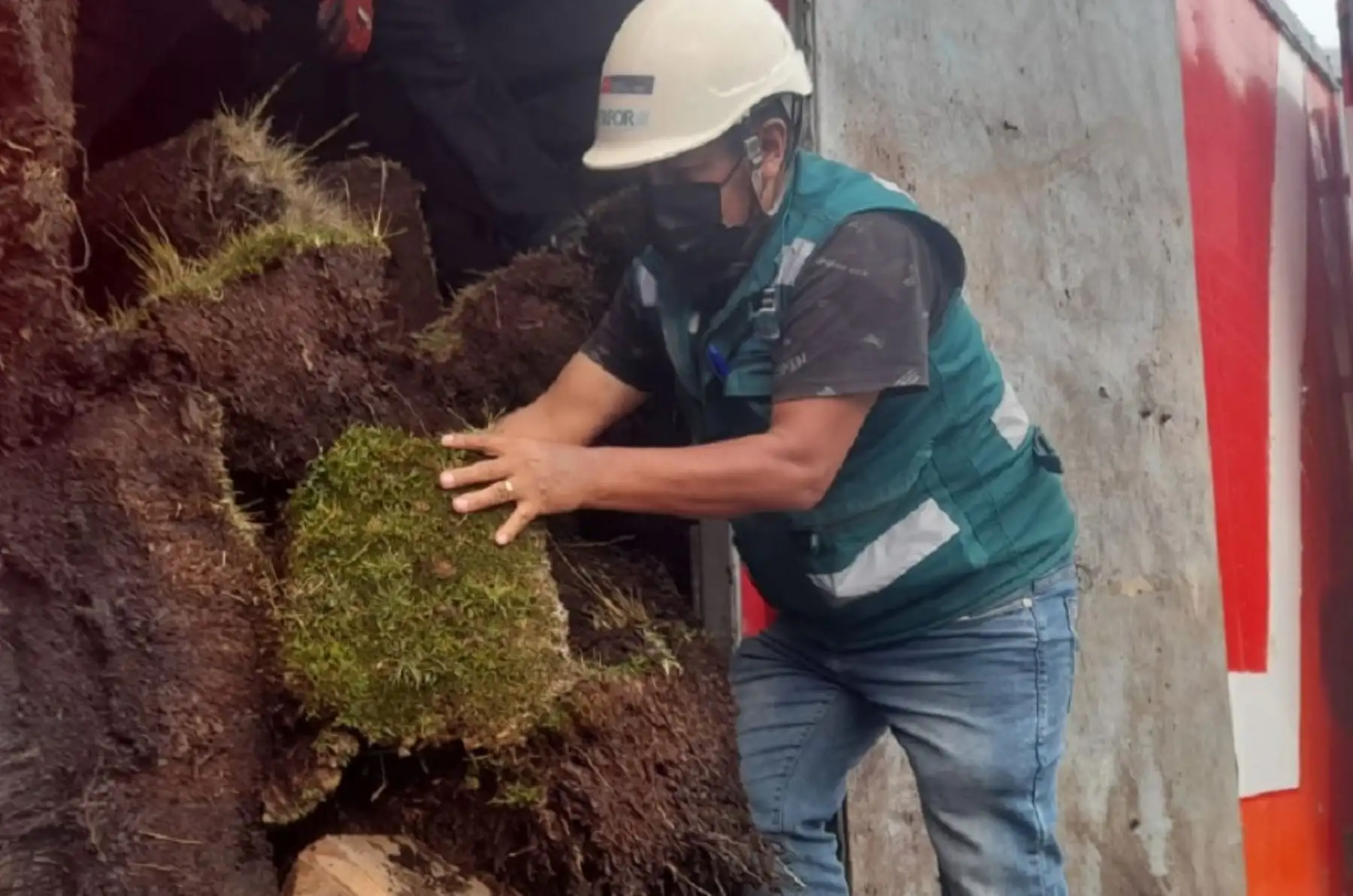 El Servicio Nacional Forestal y de Fauna Silvestre  intervino un vehículo que transportaba 18 toneladas de musgos y otras especies forestales que fueron extraídos mediante bloques gigantes de los bofedales andinos de Junín.
