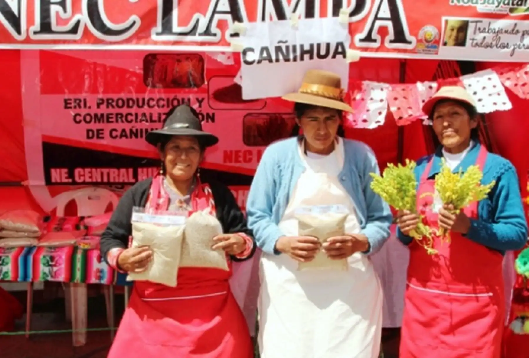 Foncodes incorporó a cuatro nuevos distritos de la región Puno en el proyecto productivo Haku Wiñay.