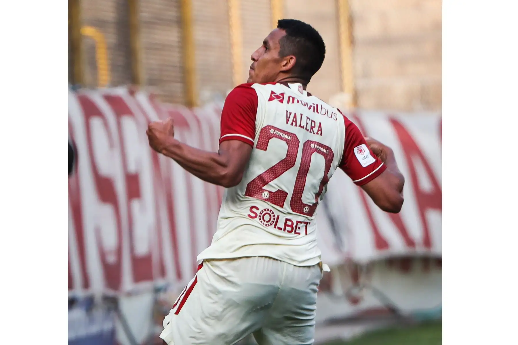 Alex Valera de Universitario celebra tras anotar ante Alianza Atlético por la fecha 13 de la Liga 1, en el Estadio Monumental. Foto: Club Universitario de Deportes