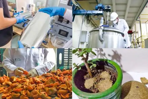 ¿Cómo se extiende la economía circular en el Perú? Estos son algunos proyectos peruanos que promueven el uso de tecnologías amigables con el medio ambiente.