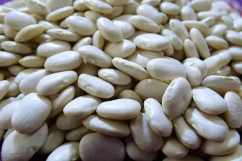 La propuesta se orienta a lograr la incorporación de alimentos frescos de la agricultura familiar.