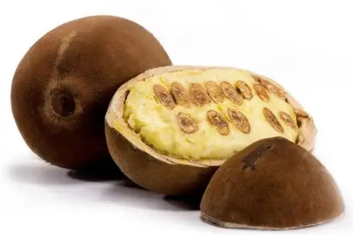 Copoazú, la apuesta de las comunidades nativas de Perú y otros 3 países por este superfruto amazónico. ANDINA/Difusión