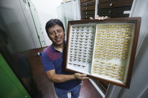 Juan Grados, un entomólogo defensor de nuestros ecosistemas
