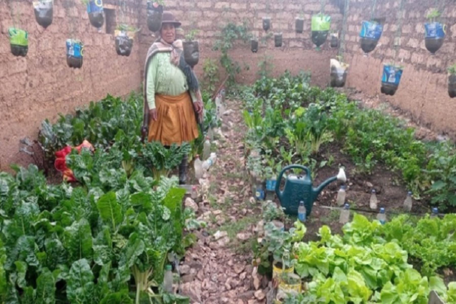 Agricultura da por concluida designación de Rogelio Huamani en Agro Rural
