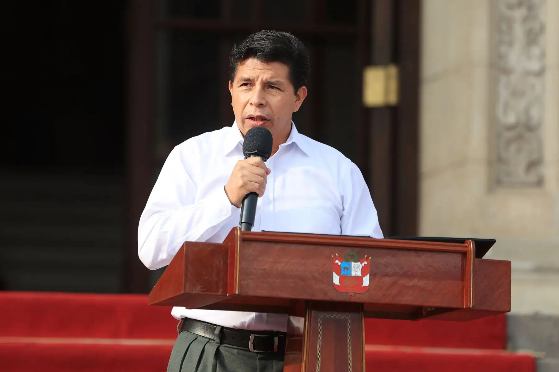 Foto: ANDINA/Prensa Presidencia.