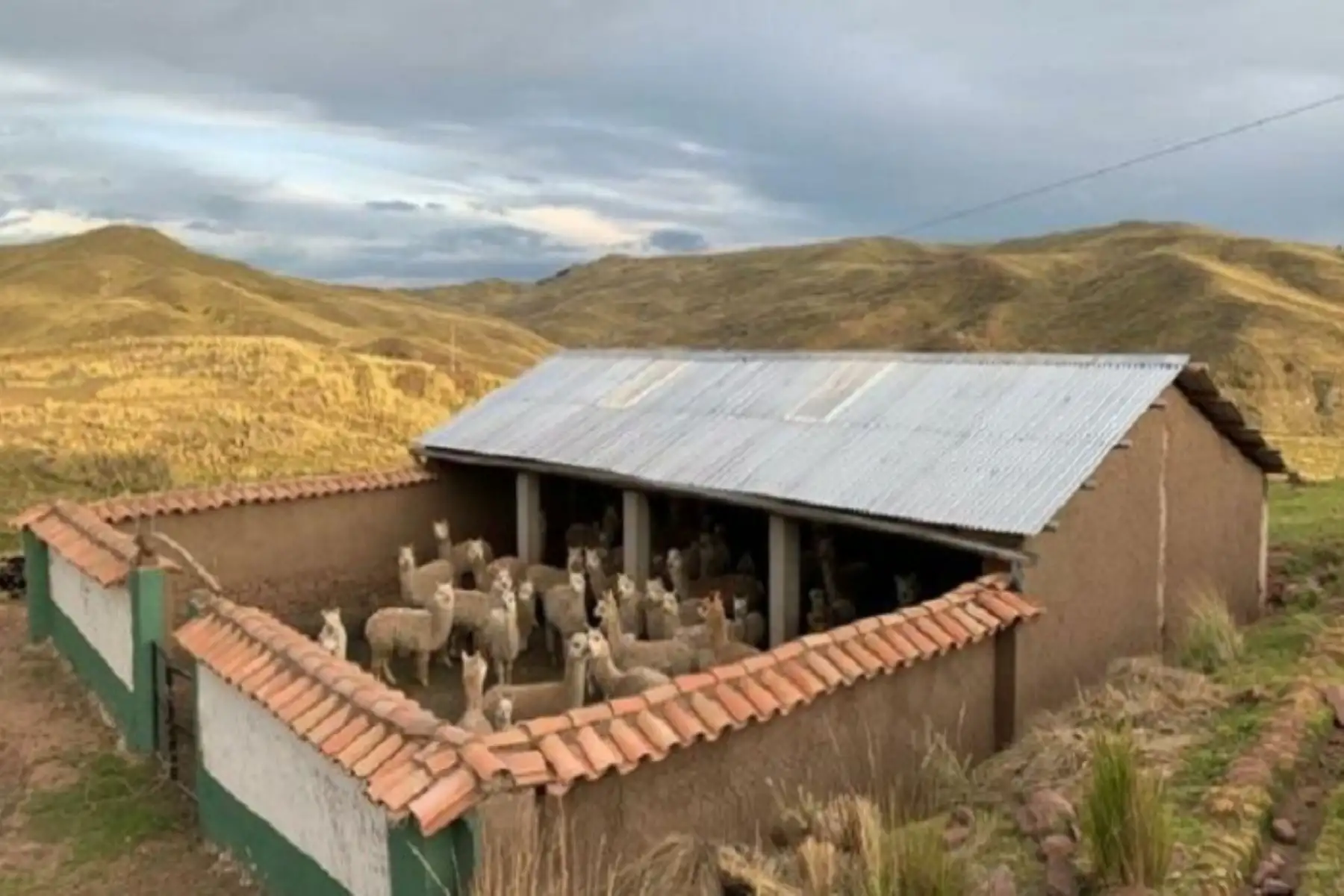 Agro Rural añade que a fines de julio se prevé la entrega de los primeros cobertizos concluidos a los beneficiarios.