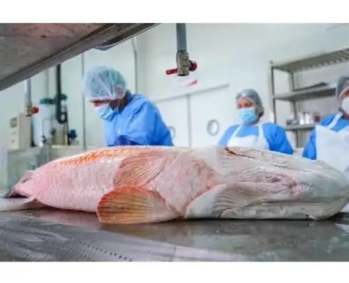 Emprendedores loretanos innovan con embutidos elaborados a base de carne de paiche que causan sensación en los mercados de Loreto. Foto: ANDINA/difusión.