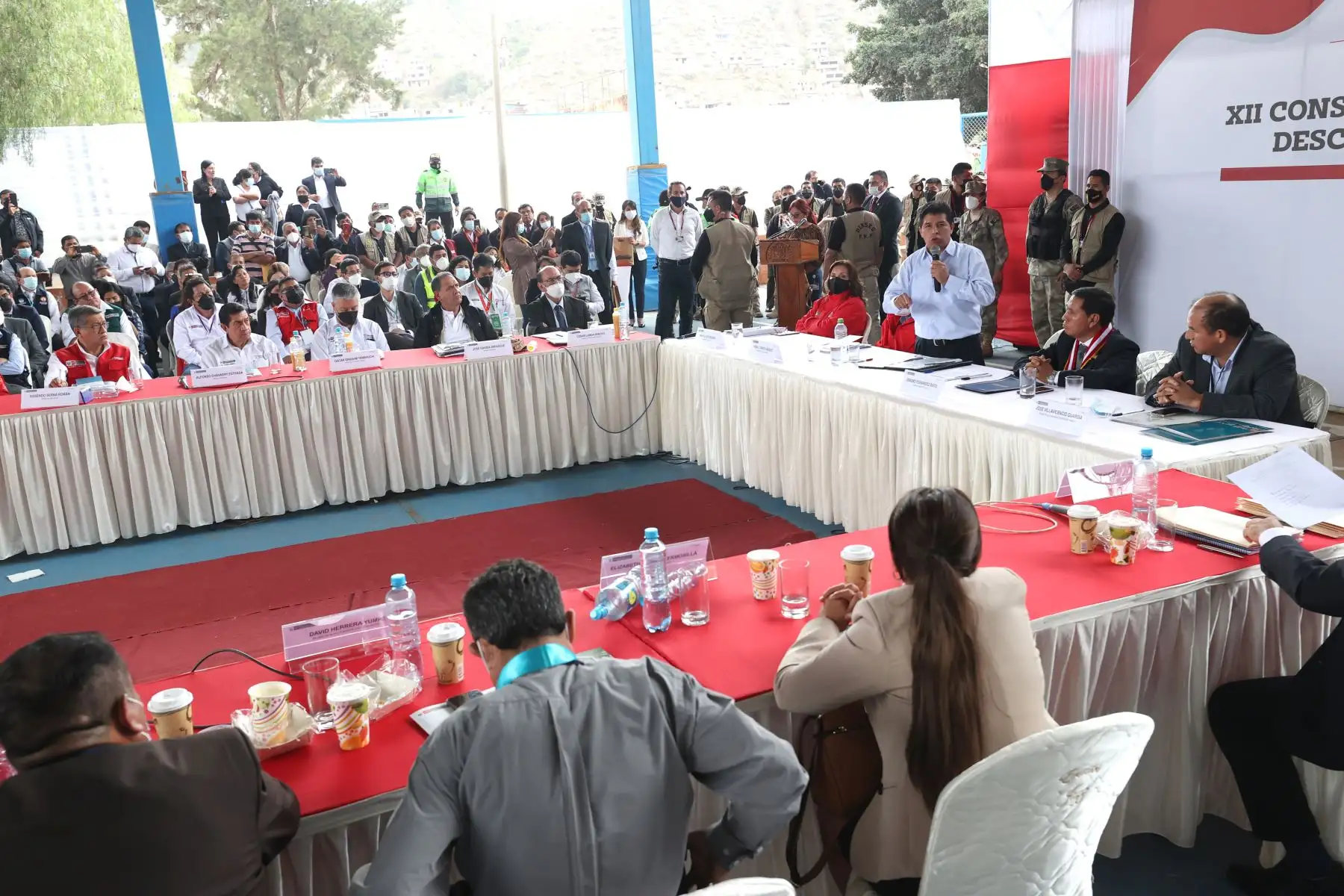 Foto: ANDINA/Prensa Presidencia.