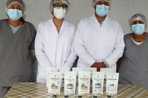 Omar Mallqui y Rafael Bendezú son dos egresados de la Universidad Nacional San Cristóbal de Huamanga que son pioneros en el cultivo y elaboración de derivados de la espirulina, una microalga considerada un superalimento por su gran valor nutricional y beneficios para la salud. Foto: Facebook/Musuq Kawsay.