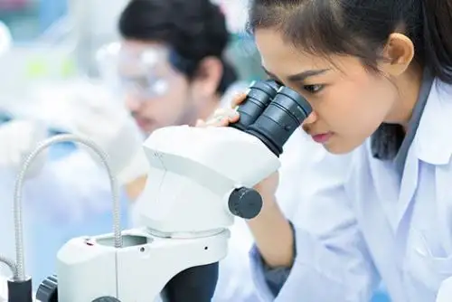 Los interesados en estudiar en Japón pueden postular a una beca integral. Foto: ANDINA/Difusión