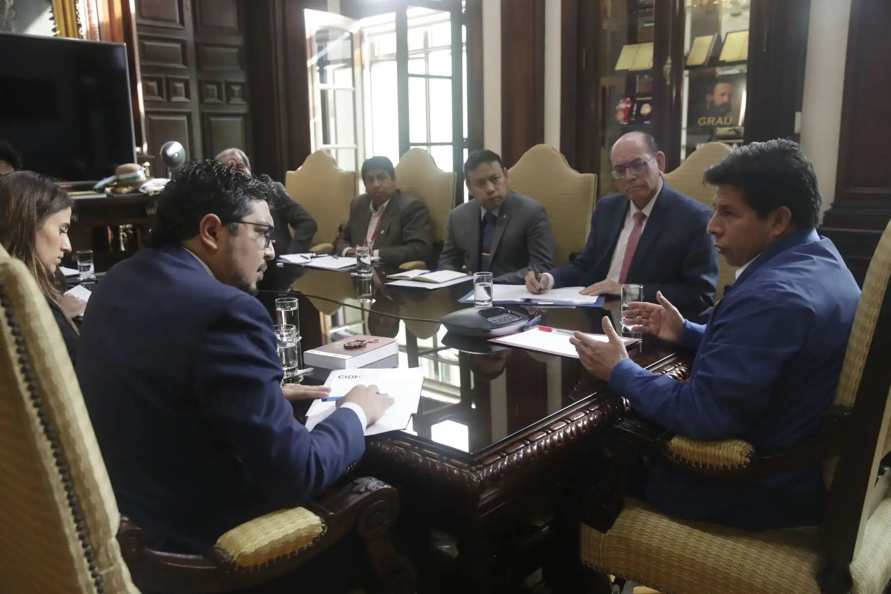 El presidente Pedro Castillo se reunió en Palacio de Gobierno con el relator especial para la libertad de expresión de la Comisión Interamericana de Derechos Humanos (CIDH), Pedro Vaca Villareal. Foto: ANDINA/ Prensa Presidencia