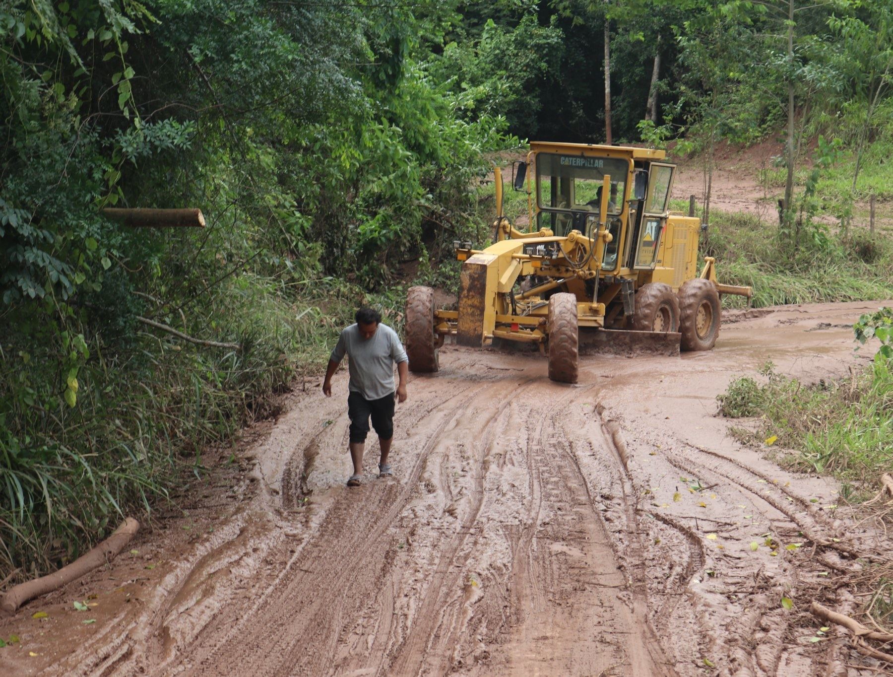 Lluvias intensas en la provincia de Picota, región San Martín, causaron cuantiosos daños en viviendas y en la infraestructura pública como los caminos vecinales.