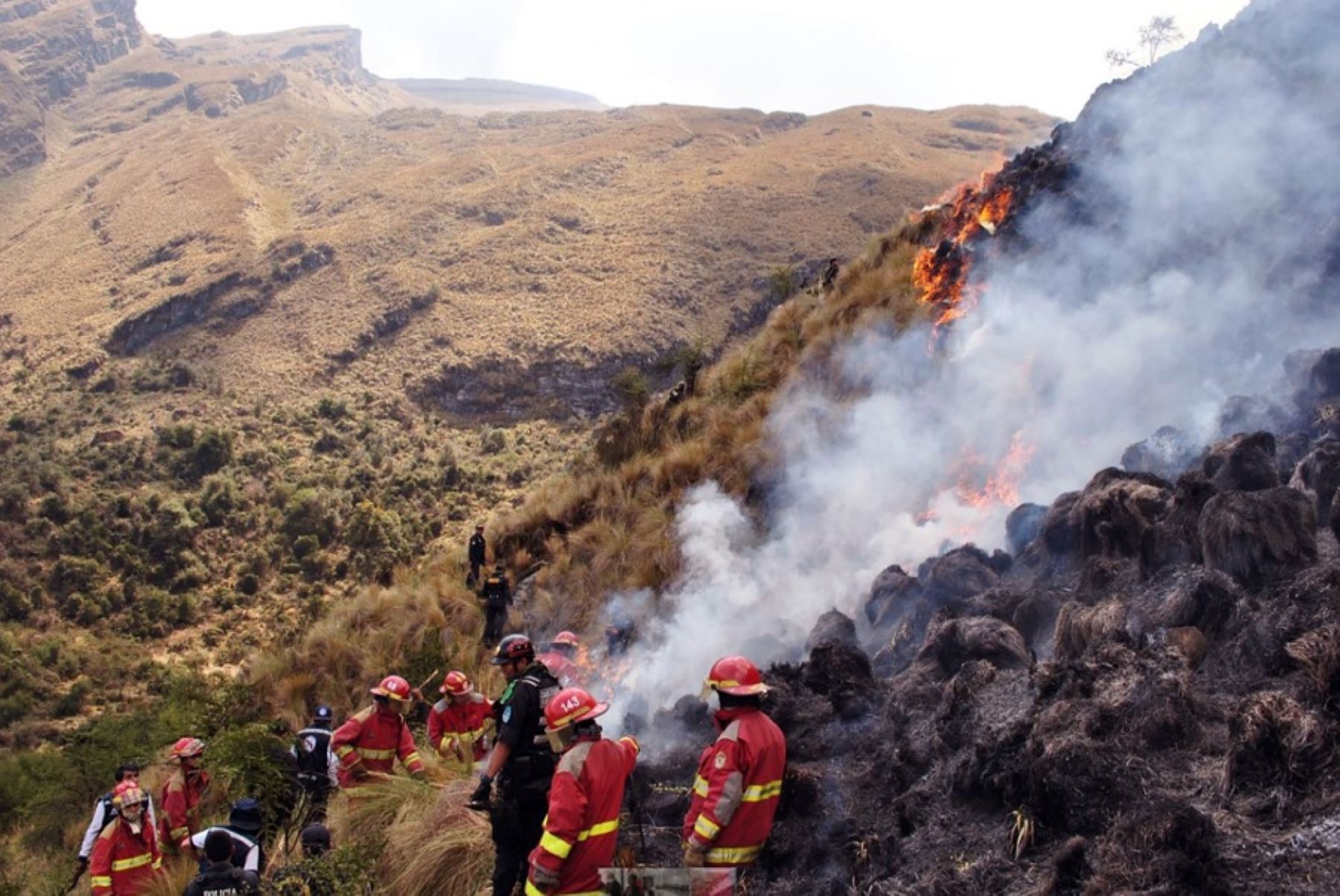El proyecto “Prevención y respuesta a incendios forestales en bosques tropicales y plantaciones forestales en Perú”, se desarrolla en los departamentos de Cajamarca, Pasco, Ucayali, Huánuco y Junín desde el 2021 y culmina este año.