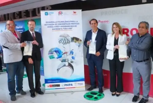 Tras más de tres años de investigación, especialistas peruanos desarrollaron una proteína en polvo extraída de la anchoveta que ayudará a combatir la anemia y la desnutrición infantil.