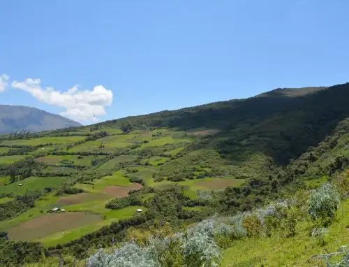 Serfor y organismos internacionales unirán esfuerzos para trabajar proyectos de restauración de tierras degradadas en Perú. ANDINA/Difusión