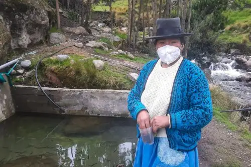 María implementó su primera piscigranja para la crianza de truchas y logró una producción inicial de 4,000 peces.