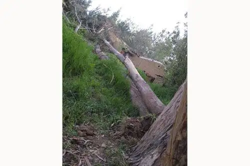 La tragedia ocurrió en el caserío Rivas, en la provincia ancashina de Huaraz. Foto: ANDINA/Cortesía Gonzalo Horna