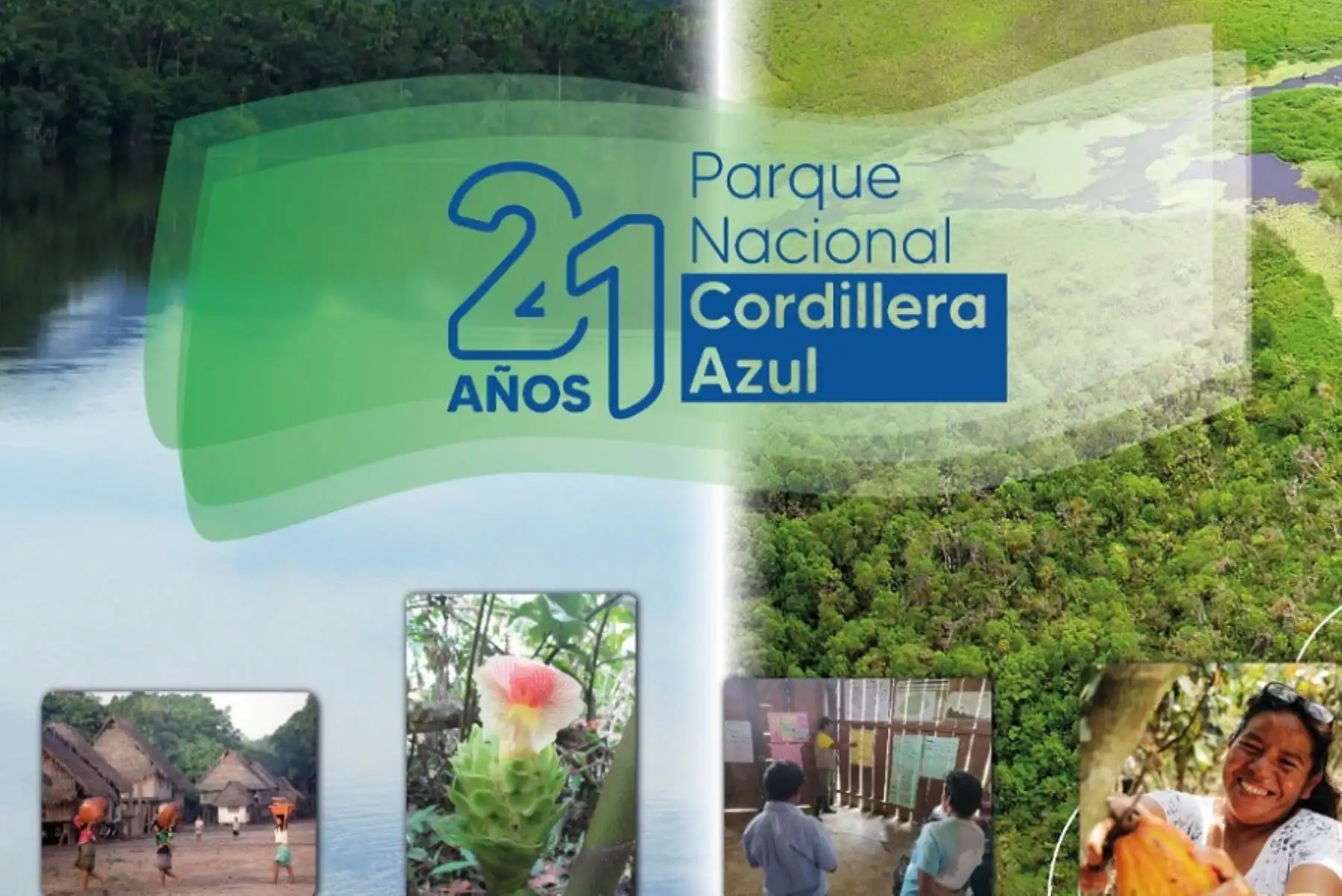 El Parque Nacional Cordillera Azul cumple 21 años como área natural protegida por el Estado, conservando la cadena montañosa de selva más extensa e intacta del Perú con 252.5 kilómetros en donde habita una gran biodiversidad en muchos casos única en el mundo, Foto: Sernanp