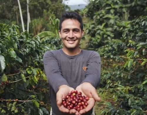 Conoce a Joimer Vargas, el abanderado de la iniciativa del café sostenible para proteger el Bosque de Protección Alto Mayo, ubicado en la región San Martín.
