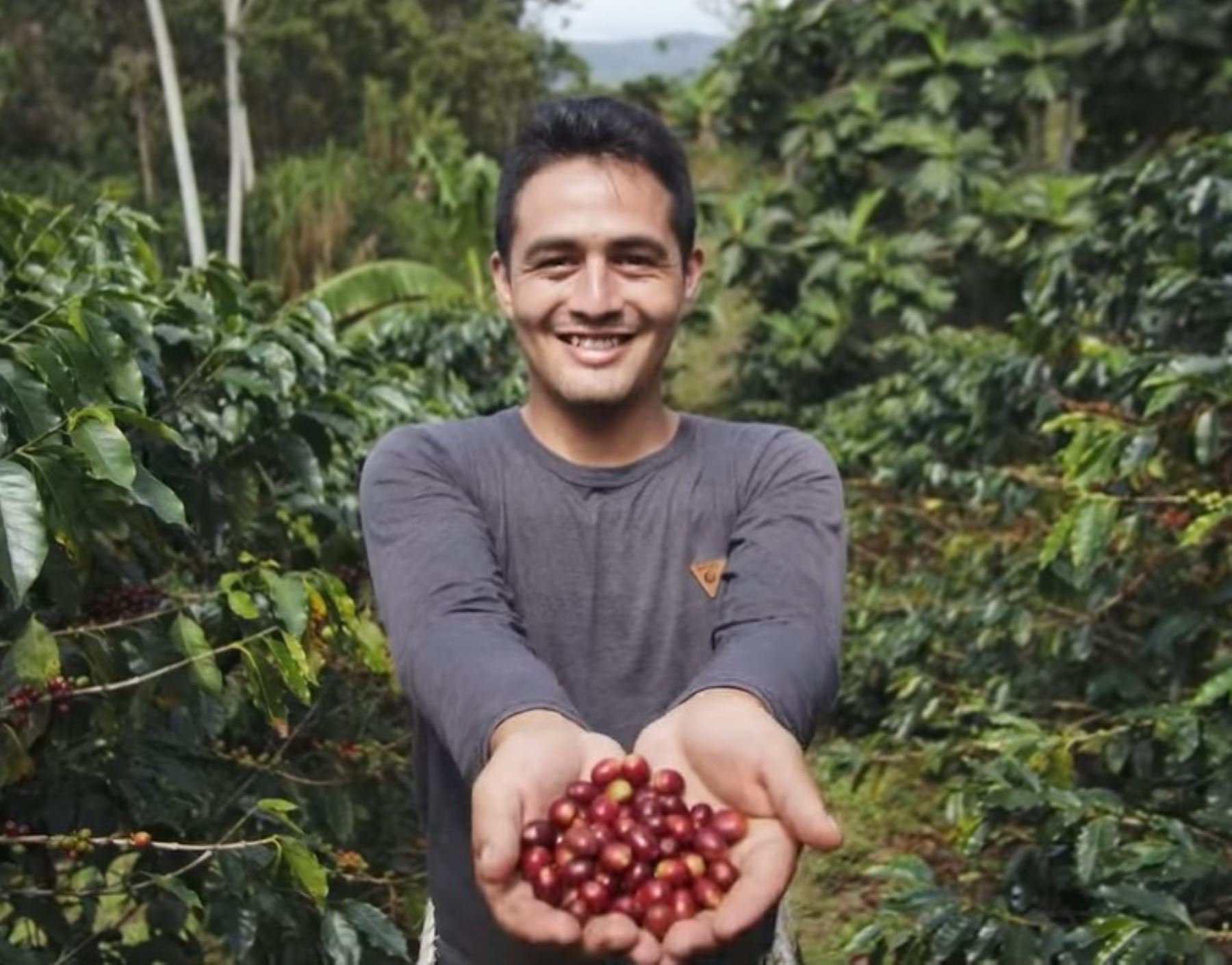 Conoce a Joimer Vargas, el abanderado de la iniciativa del café sostenible para proteger el Bosque de Protección Alto Mayo, ubicado en la región San Martín.