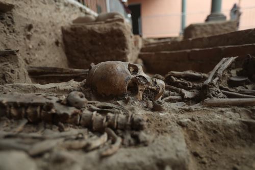 Barrios Altos: hallan restos de primer cementerio de la ciudad de Lima