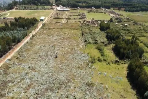 El Ministerio de Cultura implementó una actividad de desbroce de eucalipto en los sectores 2, 3 y 8 de la Zona Arqueológica Monumental de Wiracochapampa.