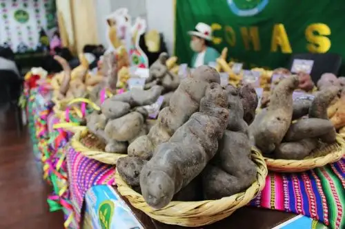 Foto: cortesía.