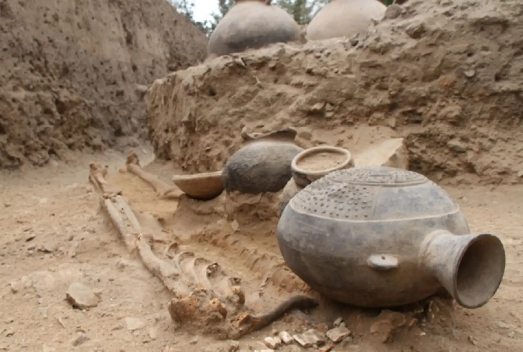 Una exhaustiva investigación arqueológica y multidisciplinaria en el complejo arqueológico Cerro Saltur, ubicado en el distrito de Zaña de la provincia y departamento de Lambayeque, revela al mundo valiosa información sobre las culturas prehispánicas que ocuparon ese asentamiento tras el colapso del dominio Mochica. Fotos del libro “Saltur: resultado de la investigación arqueológica”, cuyo autor es el arqueólogo Luis Chero Zurita.