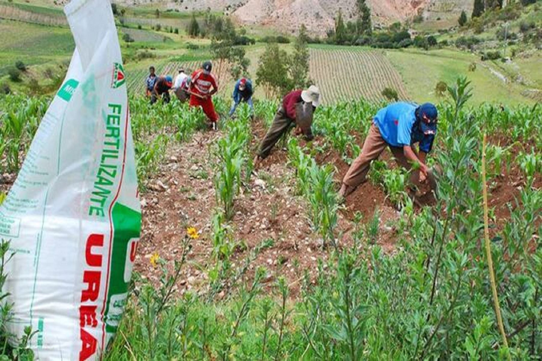 La urea es un importante fertilizante para los agricultores del país. ANDINA/Difusión