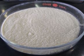 El concentrado proteico se parece a un polvo de color blanco sin sabor ni olor a pescado y que pueda ser consumido de manera directa. 