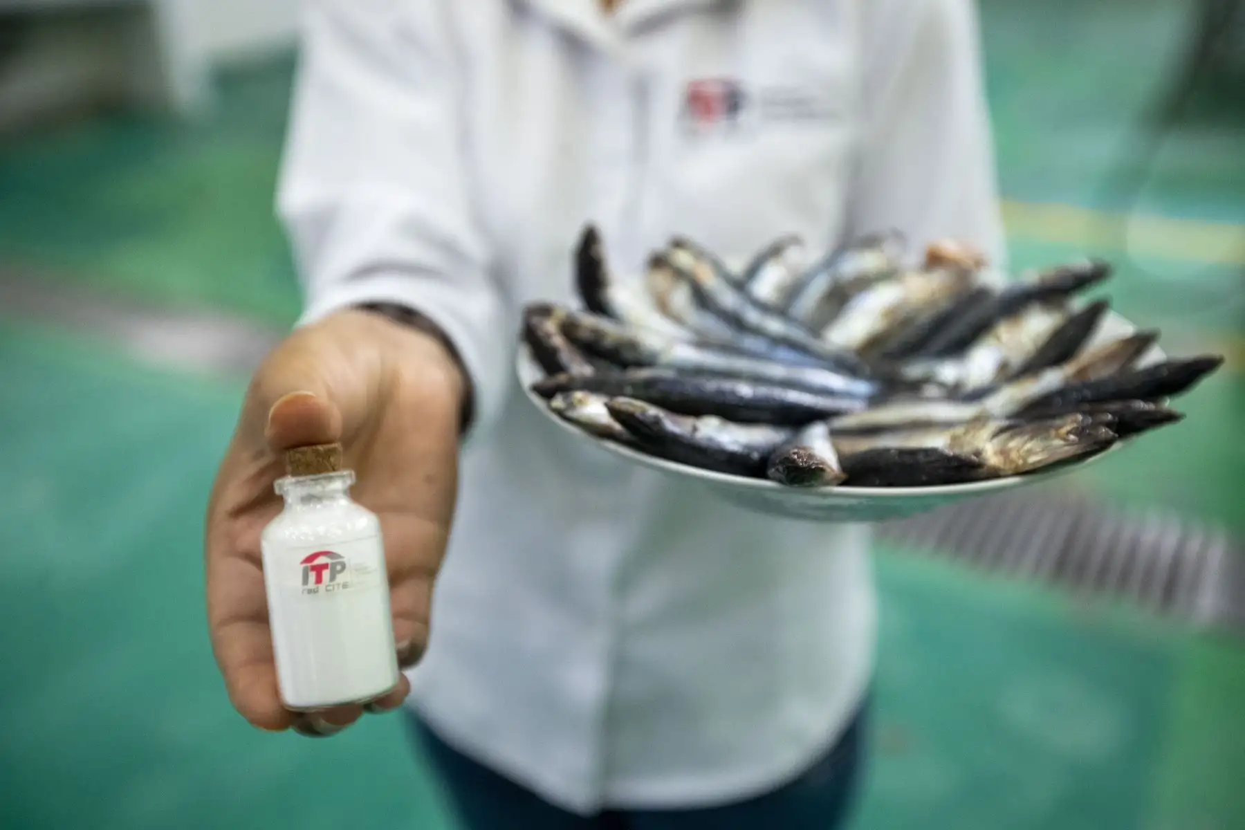 Con el uso de modernas tecnologías, los ingenieros del Instituto Tecnológico de la Producción (ITP), a través del CITEpesquero Callao, han agregado valor a este pescado. Foto: ANDINA/Carla Patiño