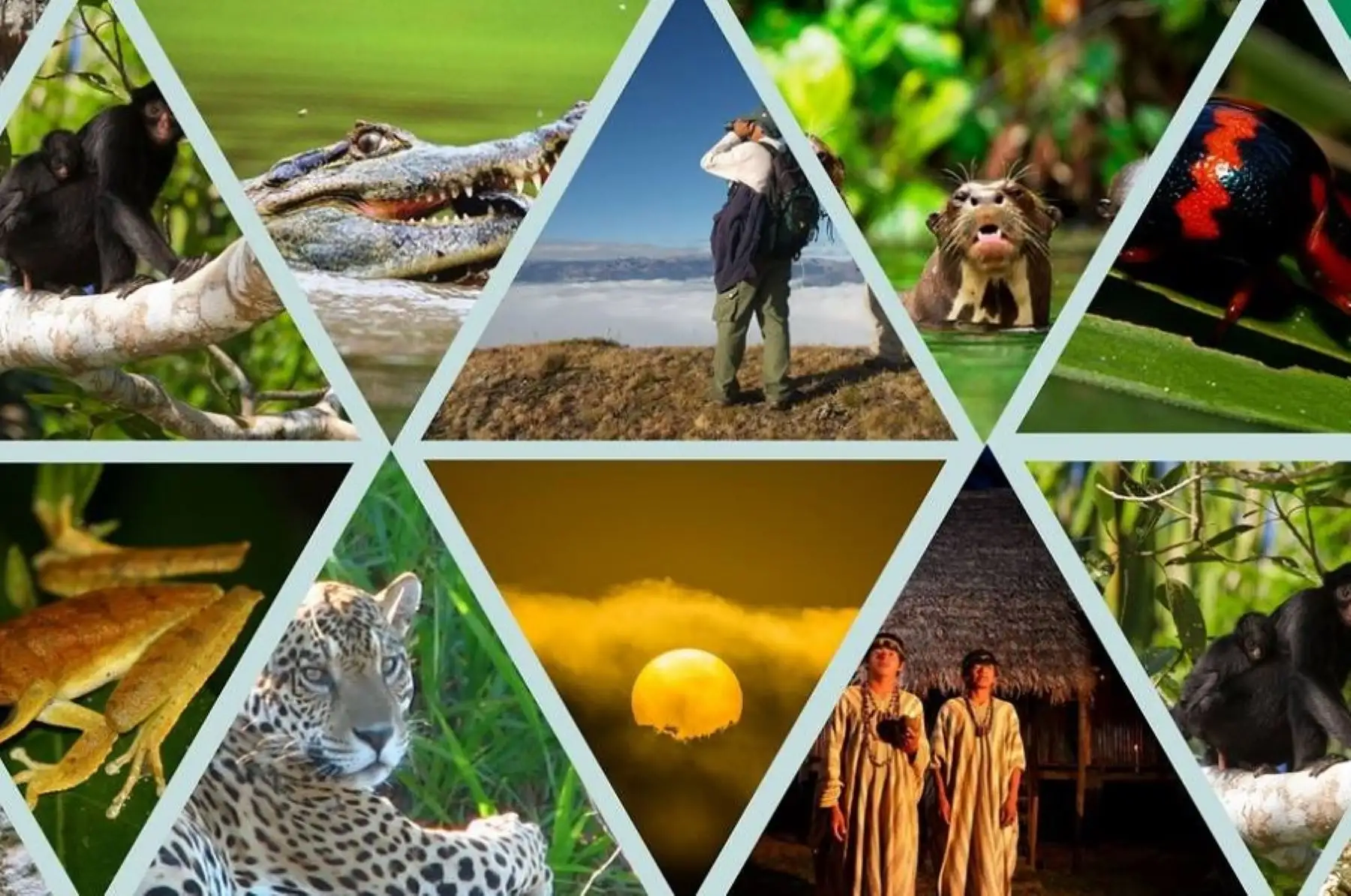 El Perú presentará en la COP 16 la Estrategia Nacional de Diversidad Biológica al 2050. INTERNET/Medios