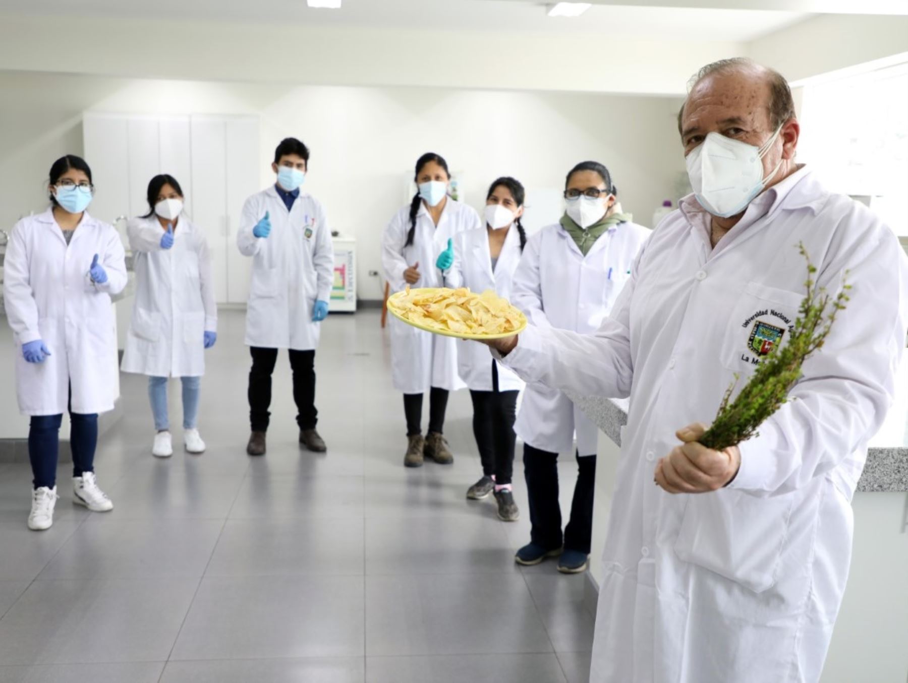 Investigadores de la Universidad Nacional Agraria de La Molina proponen elaborar compuestos antioxidante, a base de tara y muña, para incorporarlos a las hojuelas de papa y disminuir el riesgo de cáncer.