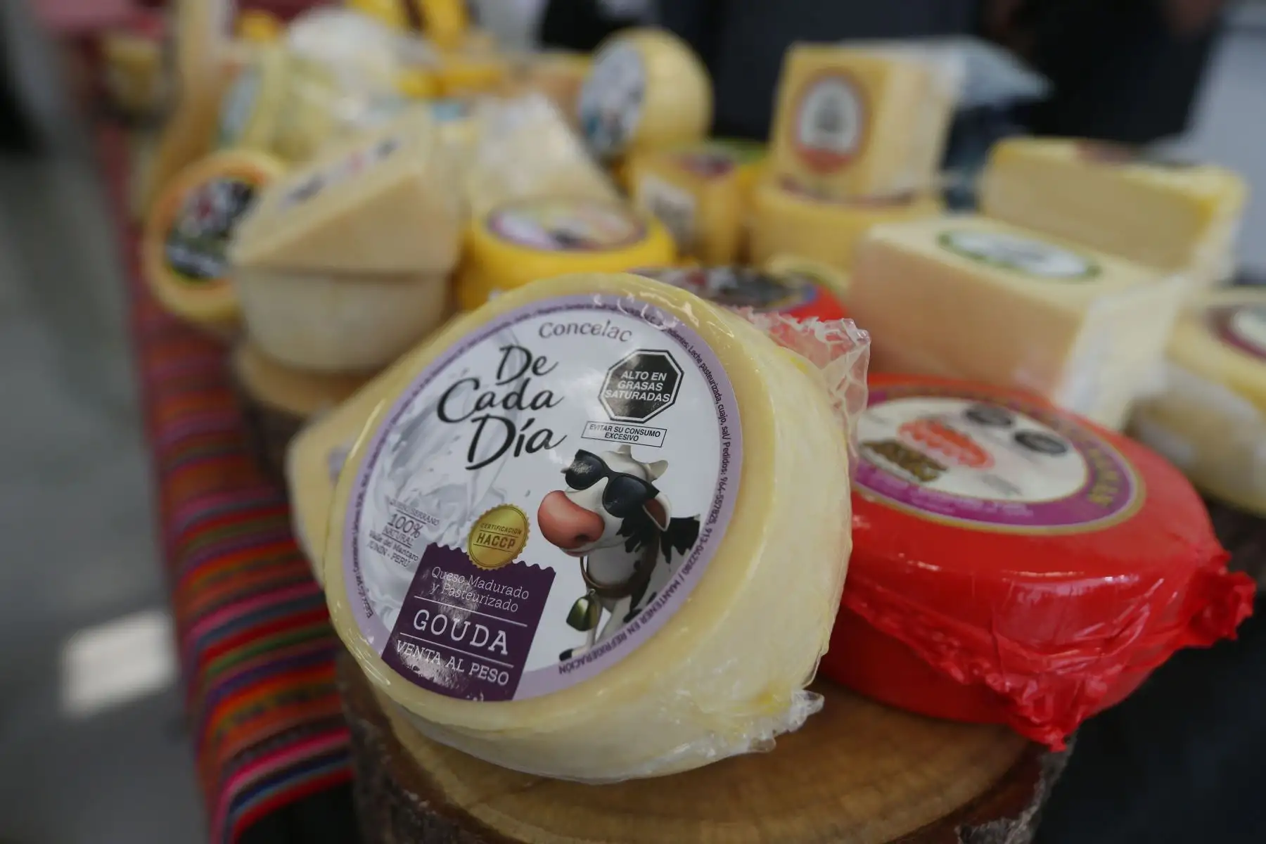 Sierra y Selva Exportadora presentará a la delegación de productores de quesos que participará en el concurso internacional Expo Queso Brasil 2022.
Se enviarán 42 muestras de quesos (andino, paria, tipo suizo, edam, gouda y parmesano) de productores de las regiones de Ayacucho, Cajamarca, Arequipa, La Libertad, Puno, Junín y Paso. 
Foto: ANDINA/Eddy Ramos