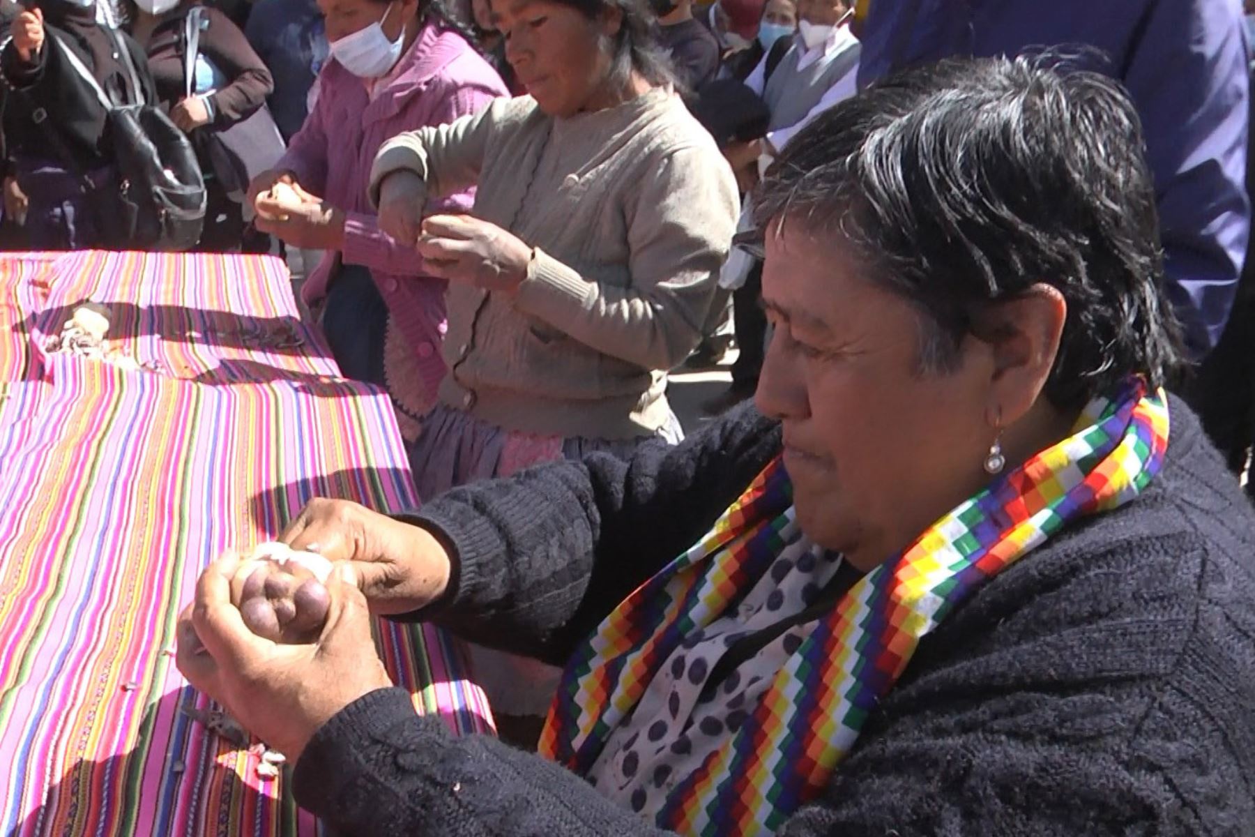 La municipalidad provincial de Huancayo organizó singular concurso del pelado de la papa que hace llorar a la nuera.