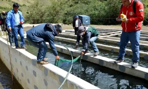 Foto: ANDINA/difusión.
