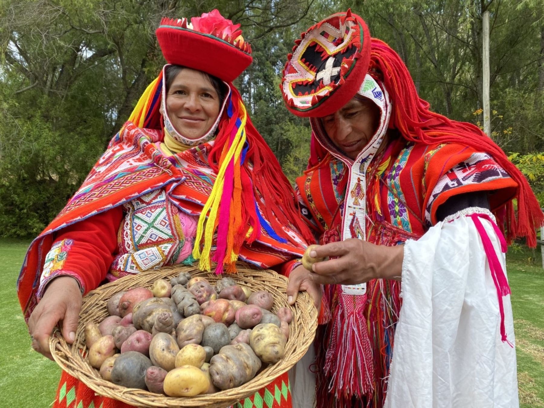Cusco celebra a la papa y convierte al ancestral producto andino e eln símbolo de lucha contra posible hambruna mundial. ANDINA/Percy Hurtado