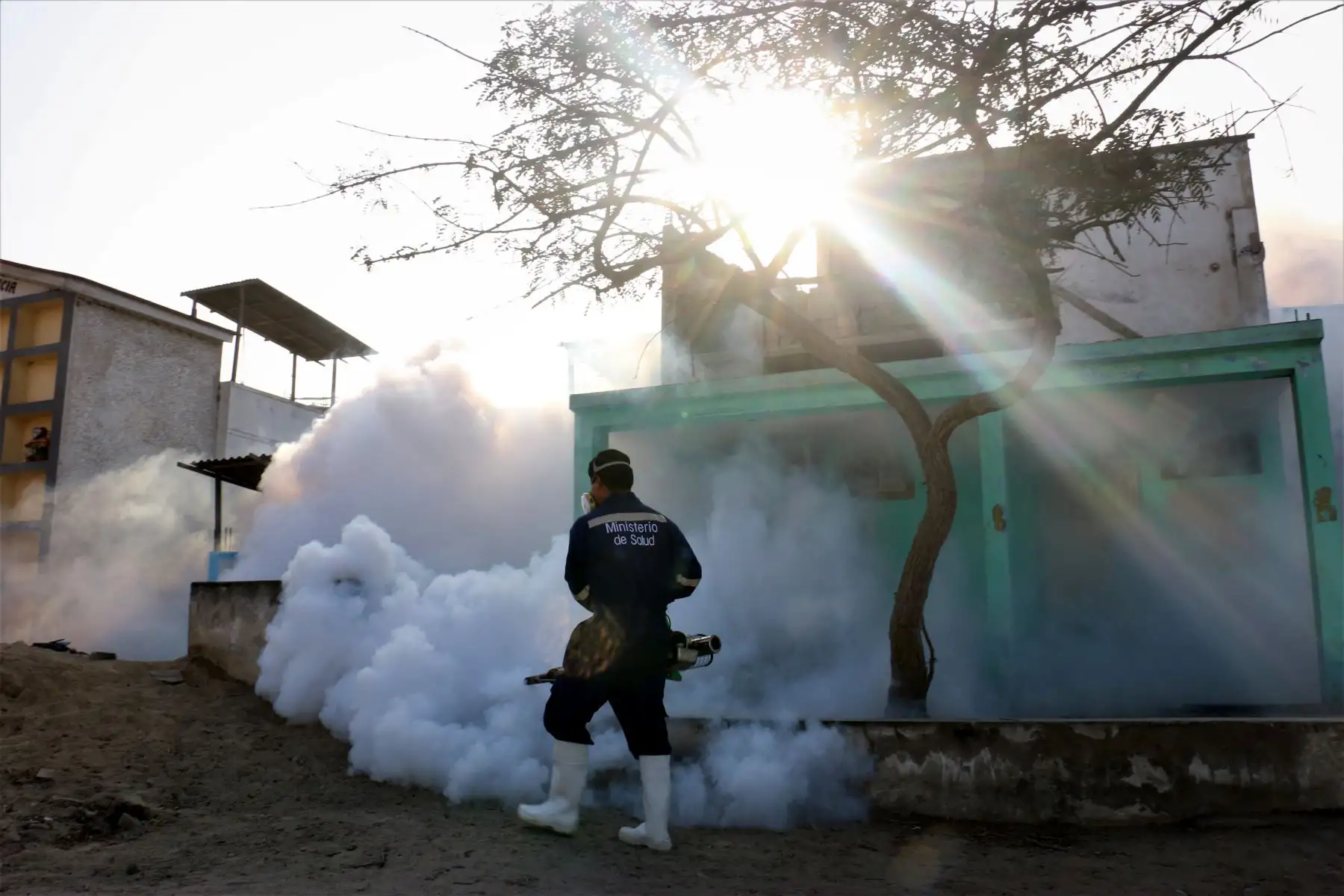 Ministerio de Salud, realiza una gran intervención focal y fumigación en el cementerio Virgen de Lourdes, ubicado en Villa María del Triunfo, considerado el recinto más grande de Sudamérica y el segundo a nivel mundial. Foto: ANDINA/ MINSA
