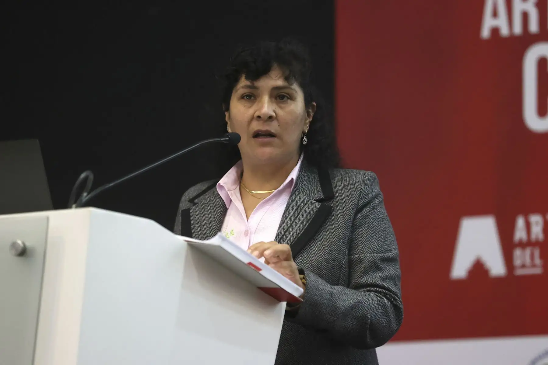ANDINA/Difusión