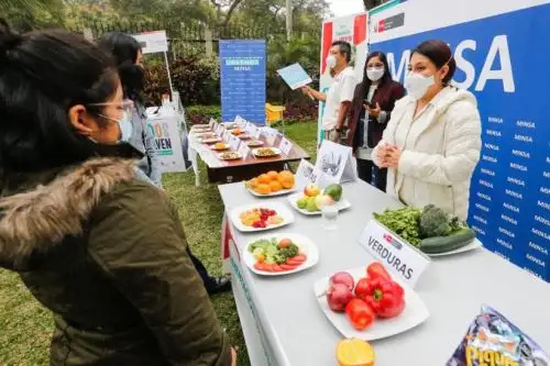 Una alimentación adecuada y rica en hierro, permitirá mantener niveles de hemoglobina en valores normales. Foto: Minsa