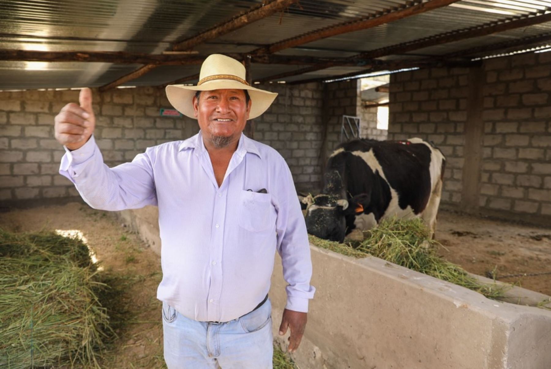 Los ganaderos podrán acceder a módulos que resguarden al ganado vacuno de los factores climáticos y heladas que son tan comunes en esta zona geográfica de la región de Arequipa.