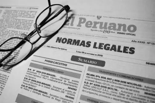 El dispositivo es firmado por la Directora General de Gobierno Interior, Benigna del Carmen Aguilar Vela. ANDINA/Difusión