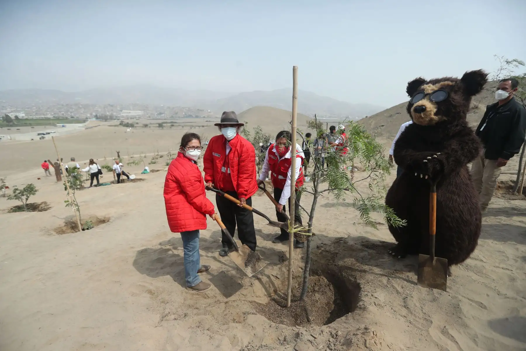 Ministro del Ambiente, Modesto Montoya  participa en la plantación simbólica de tara y molle, en la Franja Verde de la Ciudad Bicentenario en Ancón, en el marco del Día Mundial Del Ambiente.
Foto: ANDINA/ Carla Patiño Ramírez