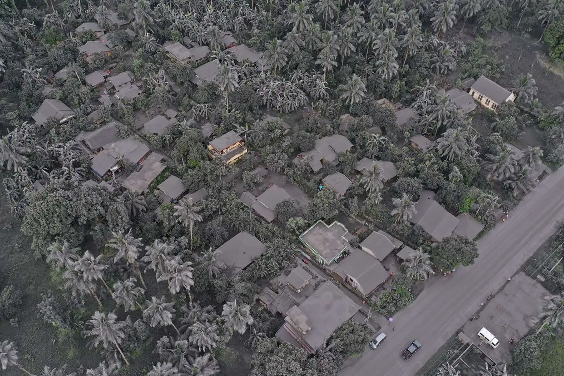 Casas cubiertas de ceniza y vegetación en la ciudad de Juban, provincia de Sorsogon, después de que el volcán Bulusan entrara en erupción y arrojara una columna de ceniza sobre el área.
Foto: AFP