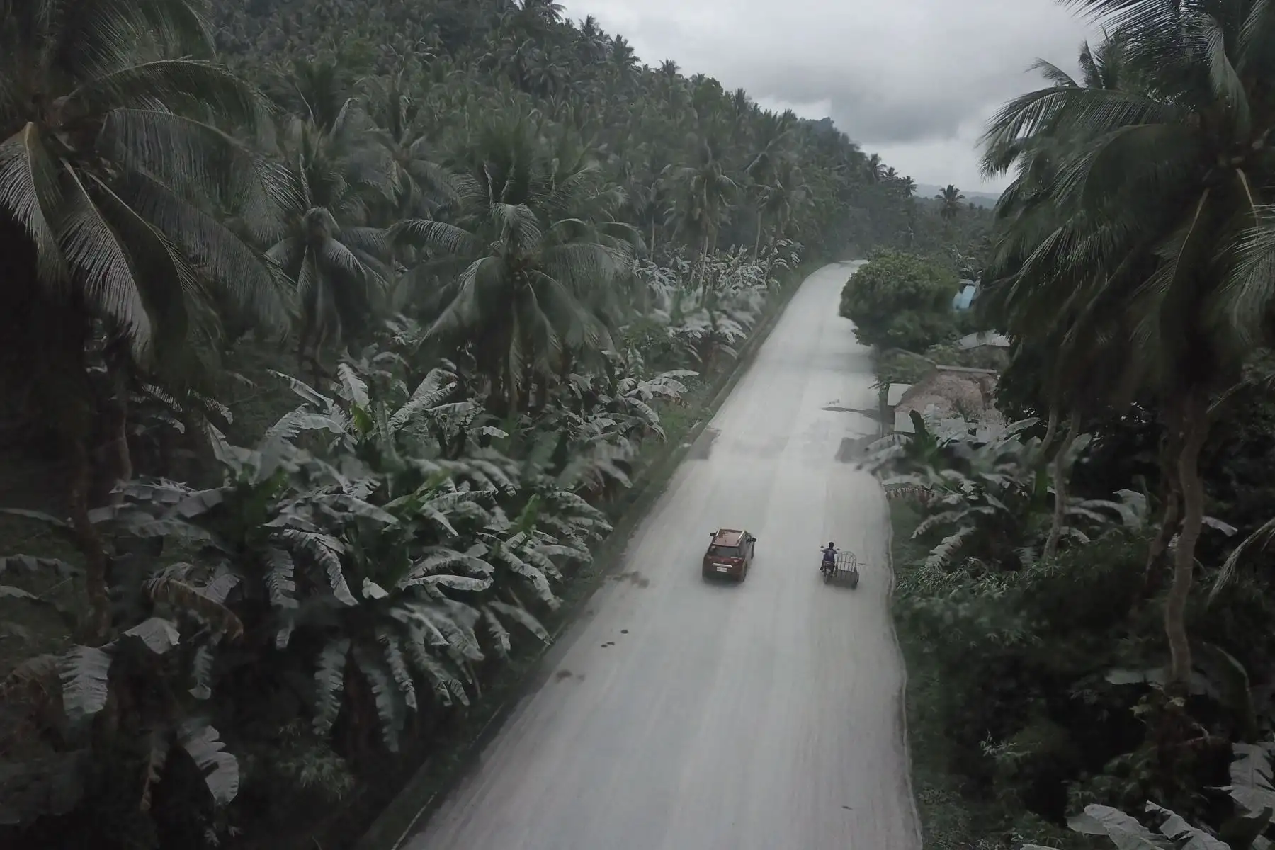 Una foto aérea muestra vegetación cubierta de ceniza a lo largo de una carretera en la ciudad de Juban, provincia de Sorsogon, después de la repentina erupción del volcán Bulusan.
Foto: AFP