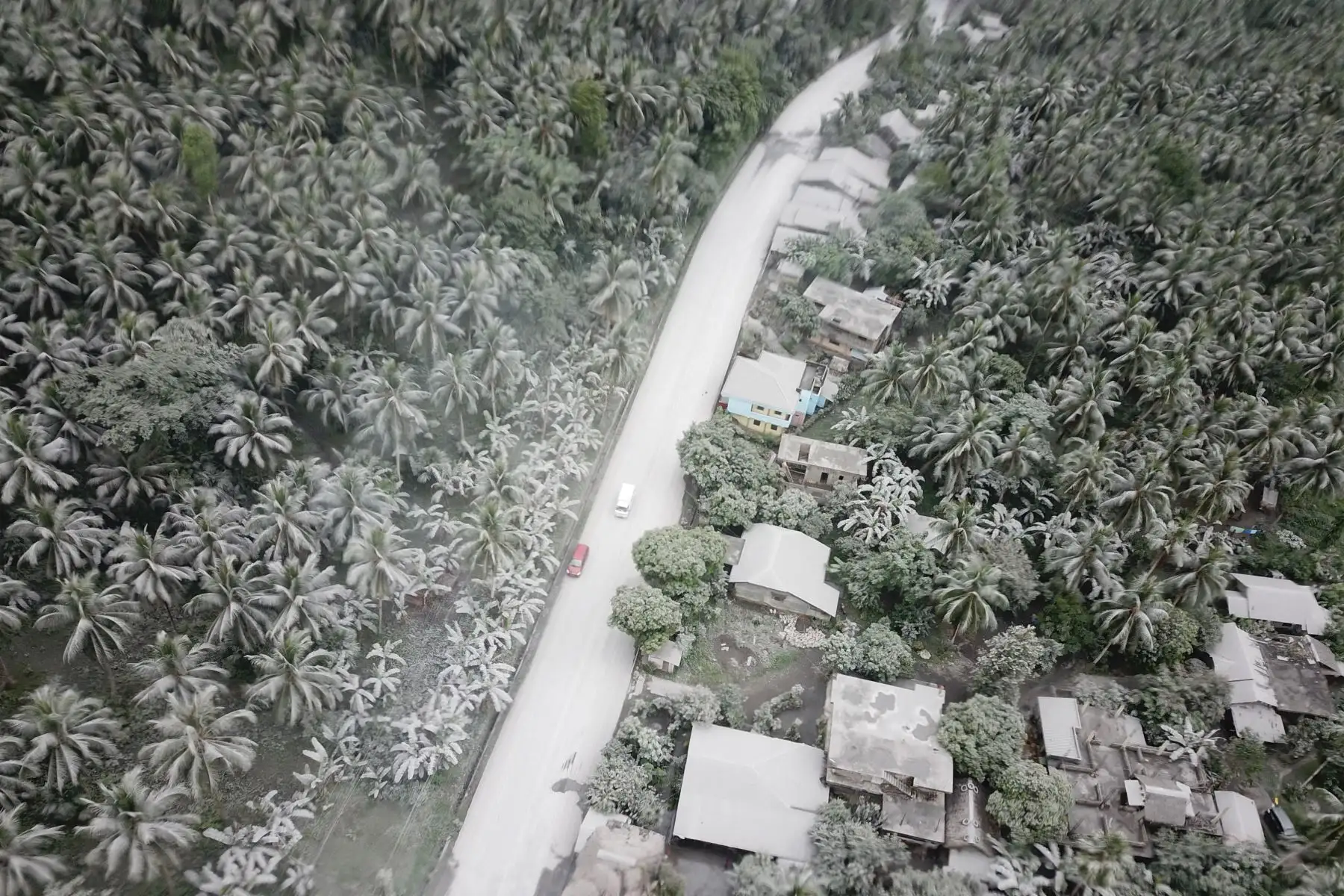 Una foto aérea muestra vegetación cubierta de ceniza a lo largo de una carretera en la ciudad de Juban, provincia de Sorsogon, después de la repentina erupción del volcán Bulusan.
Foto: AFP