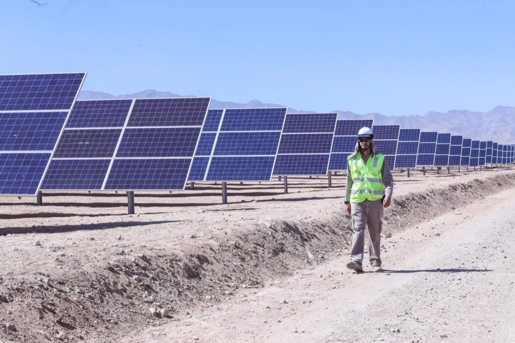 Los paneles solares captan los rayos del sol para convertirlos en energía, sin dañar el medio ambiente.Cortesía