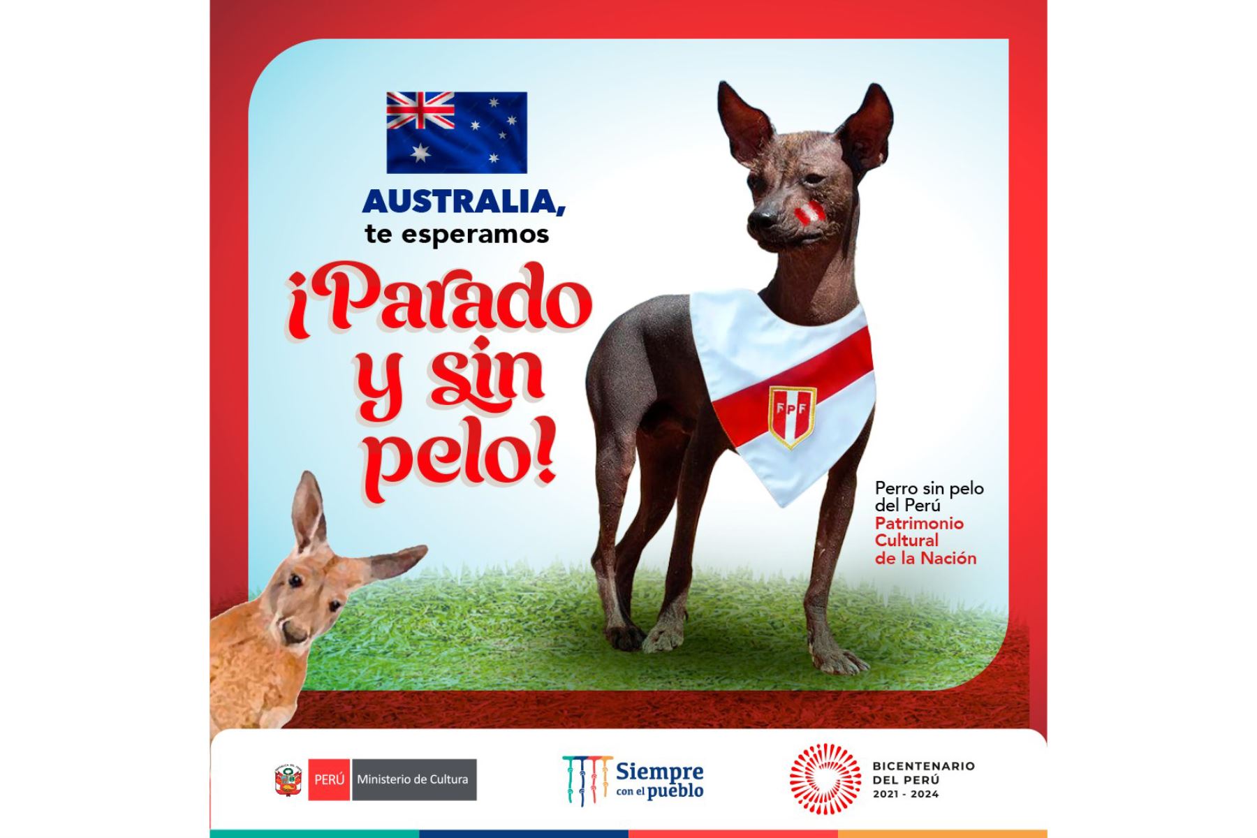 ¡Parado y sin pelo! Ministerio de Cultura celebrará el Día del Perro sin pelo del Perú